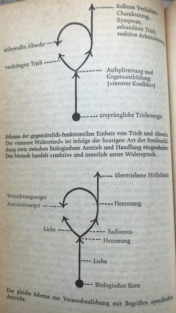 Wilhelm Reich, Vegetotherapie, Charakteranalyse, Orgonomie, Die Entdeckung des Orgons I. Die Funktion des Orgasmus